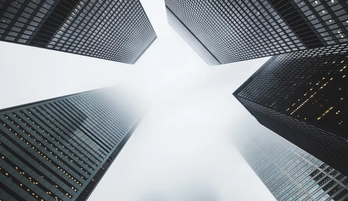Applying Enterprise Architecture Rightly