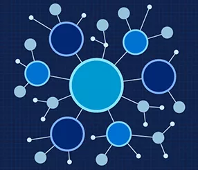 Ecosystem Engineering Insights Image 4